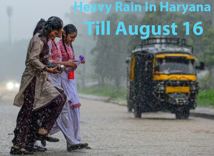 rain in haryana