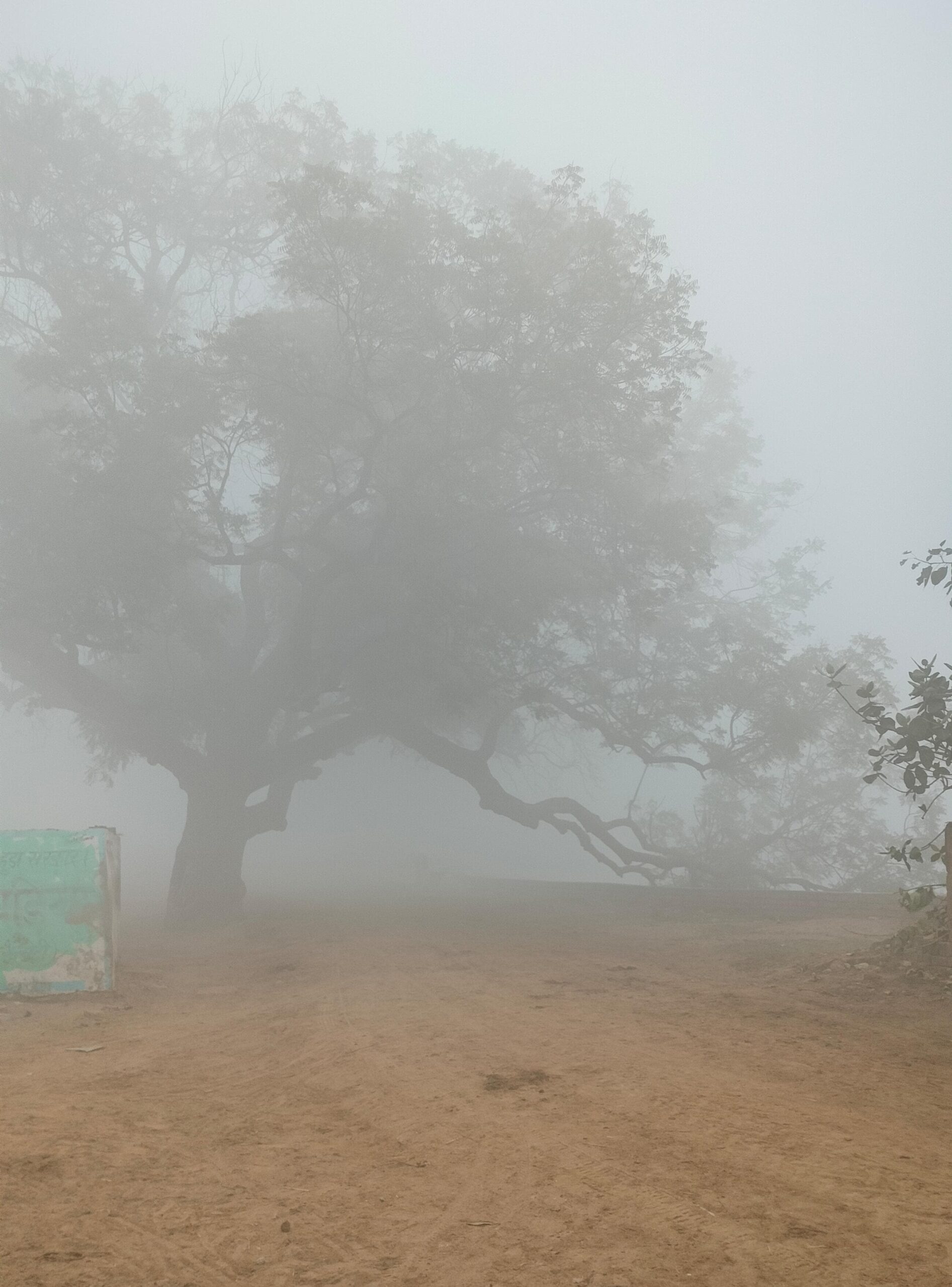 सुबह के समय जींद में छाई धुंध।