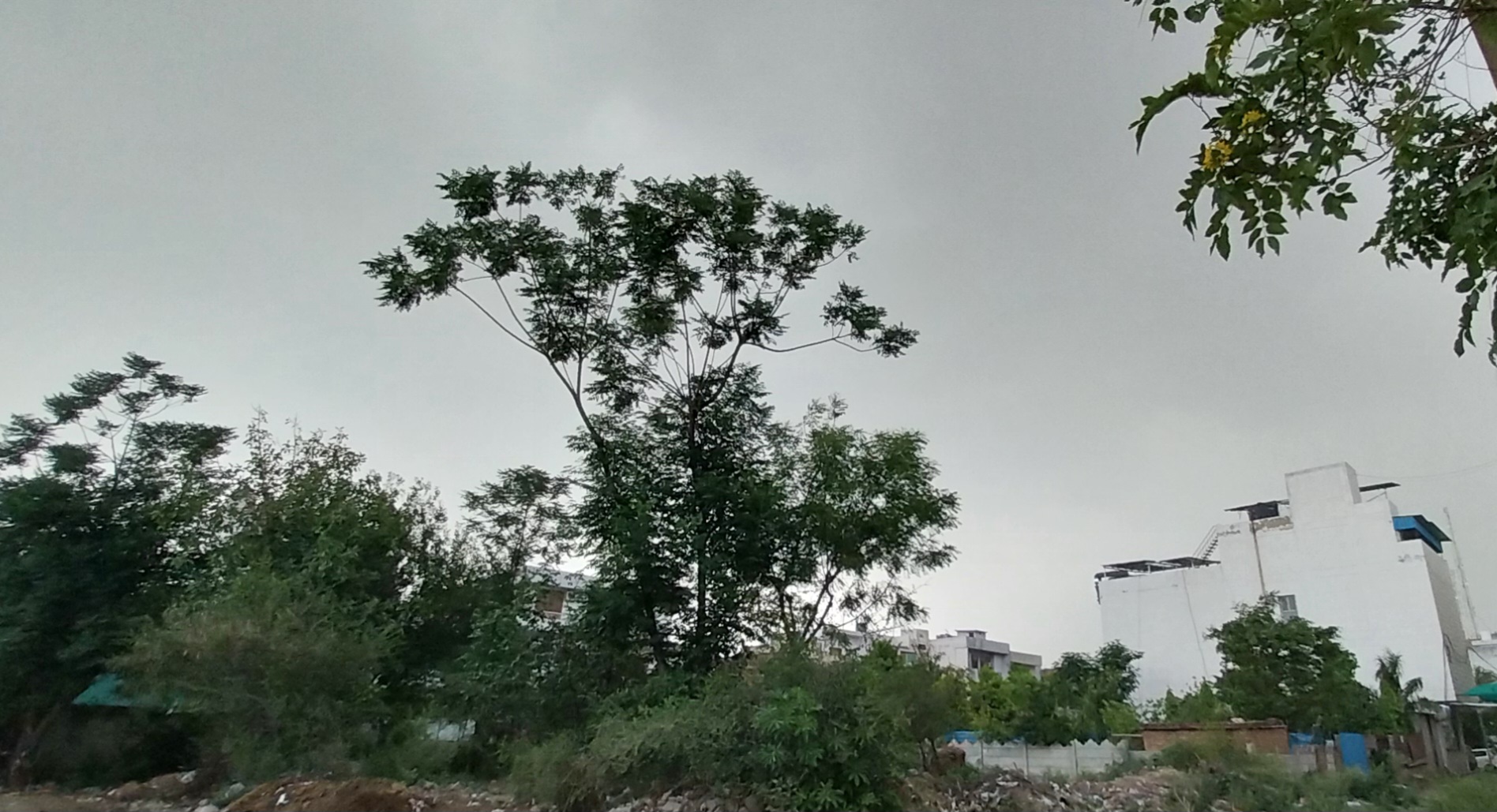 शुक्रवार को शहर में सुबह से छाए रहे बरसात के बादल।