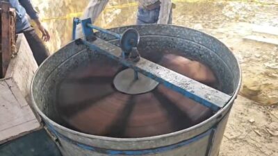 Beekeeping for Unemployed Youth