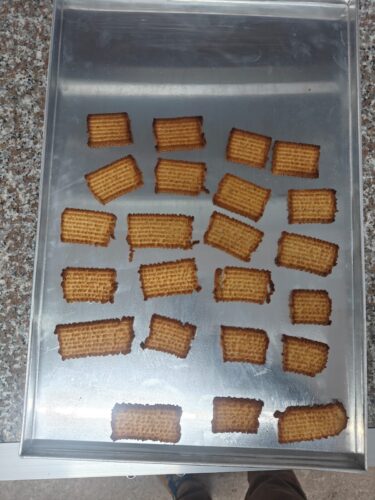 Self Reliant Village