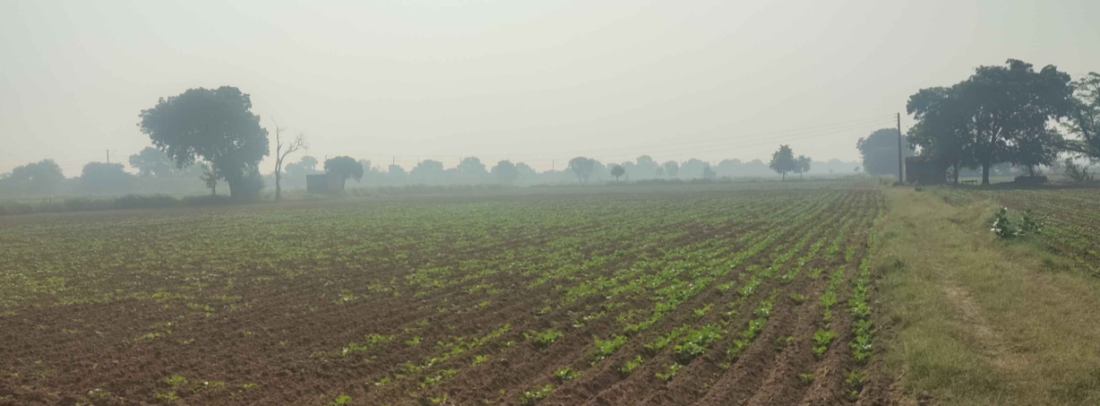 Haryana Telecom Limited Land Case