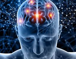 Discipline in Daily Life