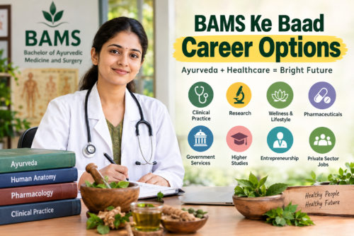 BAMS Career Options Guide